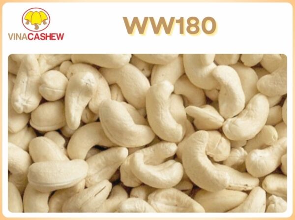 Giá hạt điều hôm nay bao nhiêu