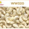 Nhân điều sống - W320 (cỡ trung) Giá hạt điều hôm nay bao nhiêu? – loại W320