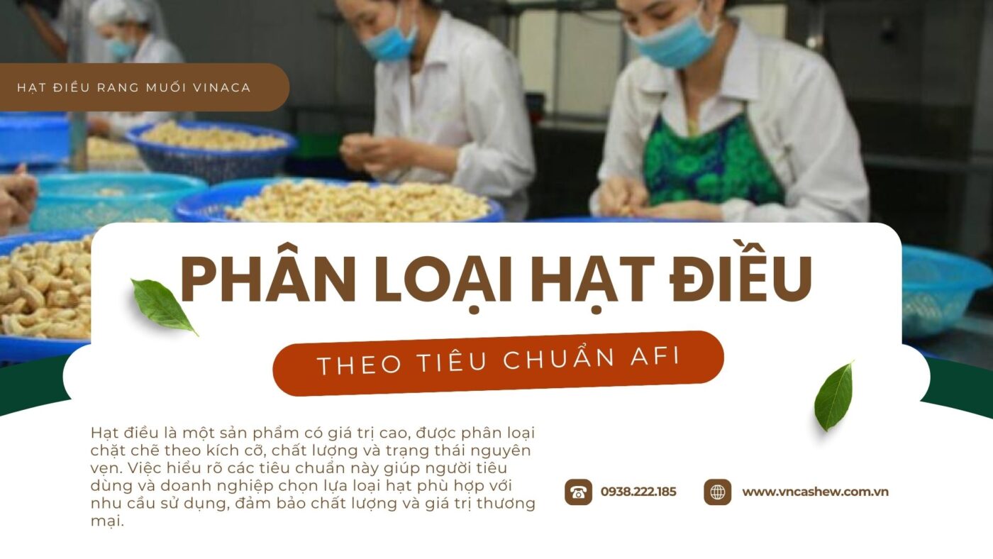 Cách phân loại hạt điều theo tiêu chuẩn xuất khẩu Phân loại hạt điều